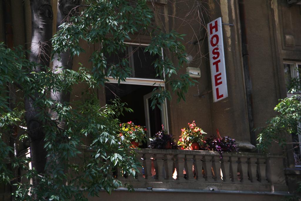 Hostel Sova Újvidék Kültér fotó